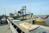 Xuất khẩu xi măng tiềm ẩn yếu tố rủi ro