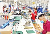 Phục hồi kinh doanh sau đại dịch ở Việt Nam: Tiếng nói của dữ liệu