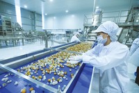 Tính chung 9 tháng, cả nước có gần 99.000 doanh nghiệp đăng ký thành lập mới, giảm 3,2% so với cùng kỳ năm 2019.