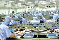 Tình hình xuất khẩu nhiều mặt hàng đã có những chuyển biến tích cực tại thị trường EU sau gần 2 tháng EVFTA được thực thi.