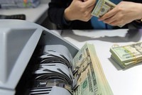 Tốc độ tăng dư nợ nước ngoài ngắn hạn dự kiến vẫn trong hạn mức được Thủ tướng Chính phủ cho phép.