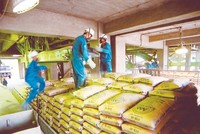 Ngành xi măng đang dư cung mỗi năm khoảng 30 triệu tấn. Ảnh: Đức Thanh