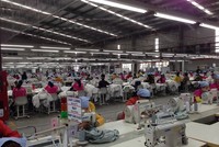 Ngành dệt may châu Á, trong đó có Việt Nam bị điêu đứng nhiểu tháng nay do xuất khẩu thị trường xuất khẩu chủ chốt giảm mạnh.