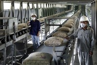 Các dự án mới trong ngành xi măng giai đoạn 2020-2030 sẽ hạn chế và có quy mô tập trung hơn nhiều giai đoạn trước đây.