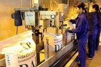 Vào tháng 5/2020, Vinachem đã đề xuất phương án thoái toàn bộ 64% vốn điều lệ tại Công ty cổ phần DAP - Vinachem.