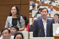 Đại biểu Đặng Thị Phương Thảo (Nam Định) là một trong số đại biểu kiêm nhiệm, phát ngôn, tranh luận thẳng thắn, tại kỳ họp thứ 10, Quốc hội khóa XIV