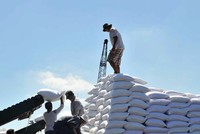 Phiên đấu giá nhập khẩu 103.0000 tấn đường theo hạn ngạch năm 2020 sẽ diễn ra vào 2/12/2020.