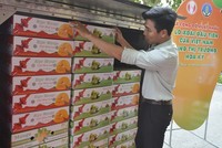 Việt Nam cung cấp cho thị trường Mỹ 1.352 tấn xoài các loại, tăng 87,4% so với cùng kỳ 2019