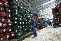 Nhiều ngành làm sáng vĩ mô