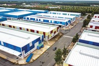 Bất động sản công nghiệp thu hút sự chú ý của cả nhà đầu tư trong nước và nước ngoài