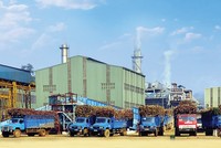 Lasuco nỗ lực thoát bóng đêm