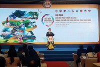 Phó Thủ tướng Vũ Đức Đam phát biểu chỉ đạo tạo Hội nghị. Ảnh: Thanh Tân