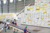 Dự báo, xuất khẩu gạo năm 2020 sẽ cán mốc trên 6 triệu tấn. Ảnh: Đức Thanh