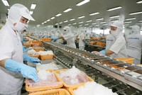 11 tháng 2020, Việt Nam xuất siêu 20,1 tỷ USD, với 31 mặt hàng đạt giá trị xuất khẩu trên 1 tỷ USD.