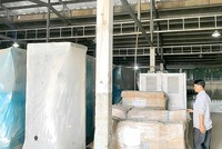 Dây chuyền máy móc chế biến thịt trị giá cả trăm tỷ đồng của doanh nghiệp đã “mốc meo” trong kho. Ảnh: Ngô Nguyên