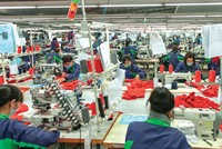 TNG vững mạnh nhờ nội lực