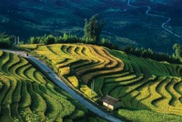 Chung tay kiến thiết tương lai xanh