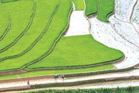 ESG và đòi hỏi thích ứng với sự thay đổi