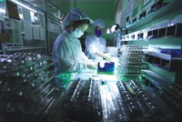 Chính sách và hoạt động khen thưởng nhân viên cần gắn với hiệu quả hoạt động của công ty trong dài hạn hơn là trong ngắn hạn