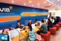 Cổ phiếu VIB đã tăng hơn 90% từ đầu năm tới trước khi chuyển giao dịch cổ phiếu từ UPCoM sang HOSE vào đầu tháng 11/2020