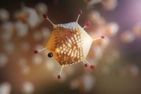 Dữ liệu đang được đệ trình để xem xét phê duyệt theo quy định