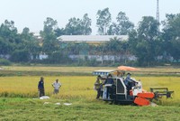 éo dài thời hạn thực hiện hạng đất tính thuế sử dụng đất nông nghiệp đến hết ngày 31/12/2025