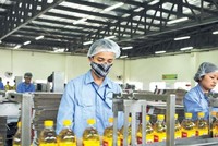 Phiên đấu giá Vocarimex của SCIC bị hoãn do vướng quy định