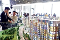 Căn hộ vừa túi tiền và đất nền vẫn sẽ được nhà đầu tư lựa chọn