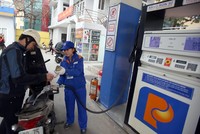 PJICO vẫn chưa muốn Petrolimex thoái vốn