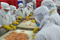 Năm 2020, Việt Nam có 31 thị trường xuất khẩu đạt kim ngạch trên 1 tỷ USD, trong đó, 5 thị trường đạt kim ngạch trên 10 tỷ USD, 8 thị trường trên 5 tỷ USD