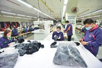 Năm 2020, doanh thu của TNG ước tính tăng trưởng khoảng 2% so với 2019