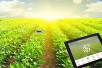 Nông nghiệp là một trong 8 ngành ưu tiên chuyển đổi số.