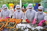 Anh một trong 10 thị trường nhập khẩu thủy sản lớn nhất của Việt Nam, thị phần thủy sản xuất khẩu của ta tại thị trường này năm 2020 đạt hơn 4% (năm 2015 đạt 1,03%).