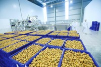 Dù chịu ảnh hưởng của dịch bệnh, nhưng đây là lúc để doanh nghiệp làm mới mình, tìm ra hướng đi phù hợp với nhu cầu thị trường