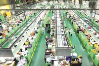 Các chuyên gia tin rằng thị trường lao động sẽ sớm phục hồi.