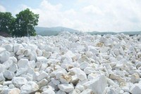 Đang có những quan điểm khác nhau giữa Tổng cục Hải quan và một số doanh nghiệp về xác định phân loại mặt hàng đá vôi