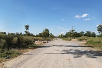 Dự án Mê Linh Vista vẫn chỉ là những bãi đất trống. Ảnh: Thành Nguyễn