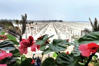 Từ trên nền cát trắng, sẽ sớm có những dự án nghỉ dưỡng mọc lên. Ảnh: Thành Nguyễn