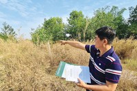 Sau 15 năm, nền đất mà ông Tâm mua tại Dự án Khu nhà ở thuộc Khu kinh tế cửa khẩu Mộc Bài vẫn chỉ là bãi đất nuôi cỏ.