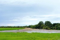 An Giang được phép chuyển mục đích sử dụng 70,85 ha đất trồng lúa sang đất phi nông nghiệp