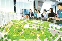 Một dự án căn hộ tại huyện Bình Chánh vừa được giới thiệu. Ảnh: Thiện Minh