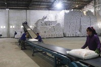 Bộ Công Thương ra thông báo tiếp nhận hồ sơ đề nghị miễn trừ áp dụng biện pháp chống bán phá giá và chống trợ cấp tạm thời đối với một số sản phẩm đường mía.