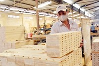 15 nhóm hàng xuất khẩu trọng điểm lọt vào tầm ngắm kiểm tra gắt gao trong năm 2021, gồm: Đồ gỗ, xe đạp, đệm mút... nhầm chống gian lận xuất xứ, chuyển tải bất hợp pháp.