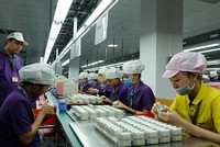 Vốn FDI vào các địa phương phía Nam đầu năm mới khá khởi sắc.