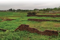 Giới đầu cơ "ôm" đất làng... chờ lên phố