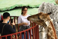 Một thế hệ ưa trải nghiệm…