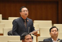 Đại biểu Lưu Bình Nhưỡng (Bến Tre) phát biểu tại Quốc hội. 