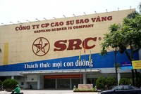 Khu đất vàng 231 Nguyễn Trãi