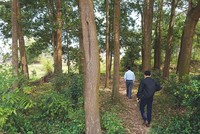 "Cò" dẫn khách đi xem đất tại Đội Phe, Đồng Chúc, Hòa Lạc. Ảnh: Dũng Minh