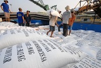 Giải mã đà tăng của giá gạo xuất khẩu